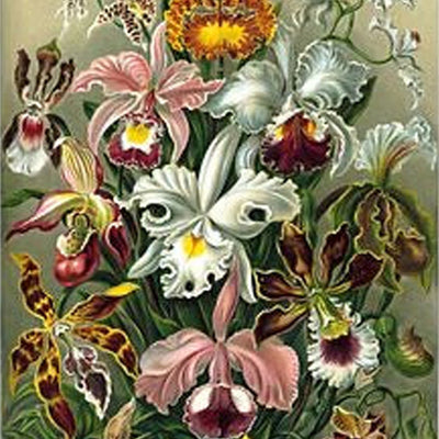 Pintura de Diamantes Rosa y Lavanda - Relajación y Arte Terapéutico