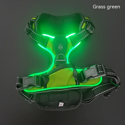 Chaleco LED Luminoso para Paseos Nocturnos de Mascotas con Destello Ajustable - Image 6