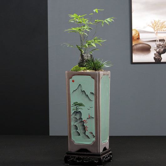 Maceta Cerámica Cuadrada Púrpura para Orquídeas y Plantas de Interior - Image 4