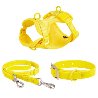 Juego de Correas Universales con Cuerda de Sujeción para Móvil y Accesorios - Image 16