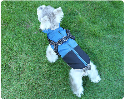 Ropa Impermeable para Mascotas en Algodón Resistente - Image 10