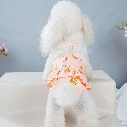 Pantalones de Seguridad Menstrual Lavables para Perras
