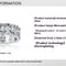 Single Diamond model US 5.5 - 2.5mm