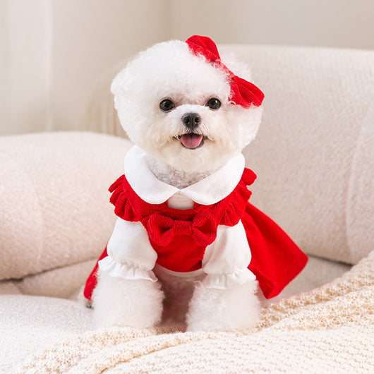 Ropa de Año Nuevo para Mascotas - Colección Festiva - Image 11