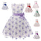 Vestido Princesa Niña con Encaje y Bordados