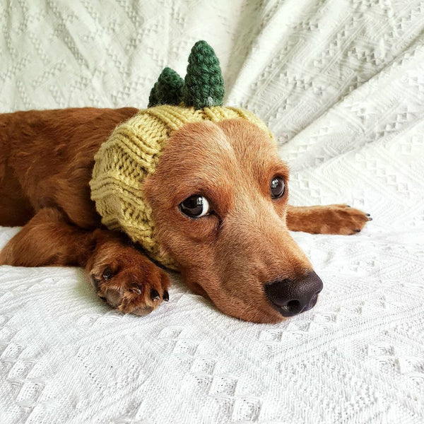Gorro Tejido Dinosaurio para Perros - Cálido, Impermeable y Divertido