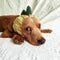 Gorro Tejido Dinosaurio para Perros - Cálido, Impermeable y Divertido