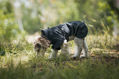Poncho Impermeable Universal para Perros Pequeños y Medianos - Image 26