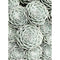 Flor Redonda Diamante Quadrado 15 X 20 Cm