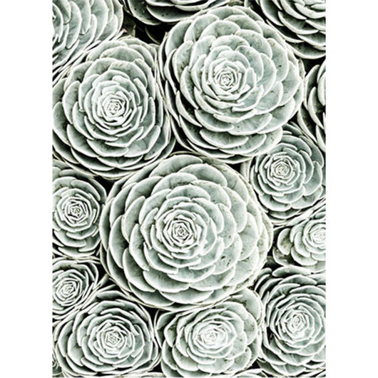 Cuadro de Pintura de Diamantes Floral - Bordado Decorativo para el Hogar - Image 3