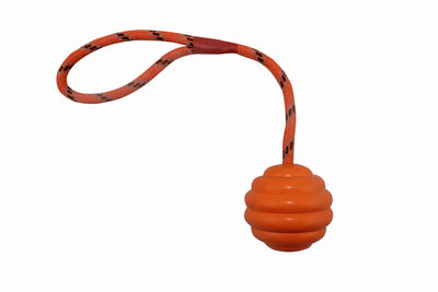 Juguete Interactivo para Perros con Cuerda Nudos y Pelota Multicolor - Image 7