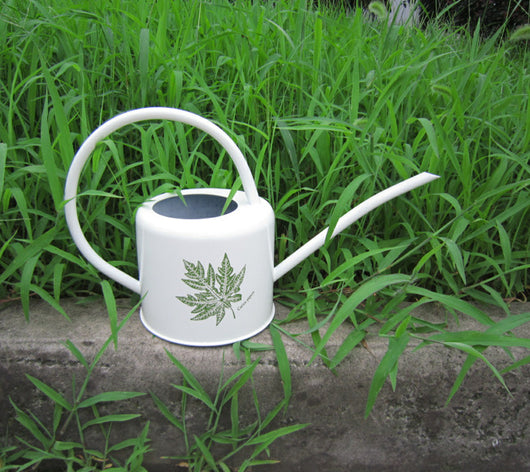 Regadera de Gran Capacidad para Huerto y Jardín - Image 11