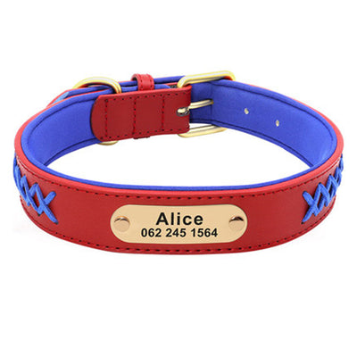 Collar Identificación Perros Medianos y Grandes Antiextravío - Image 25