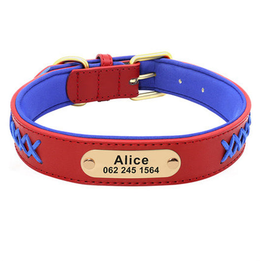 Collar Identificación Perros Medianos y Grandes Antiextravío - Image 25