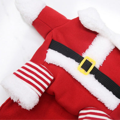 Ropa Térmica Divertida para Mascotas - Otoño e Invierno - Image 10