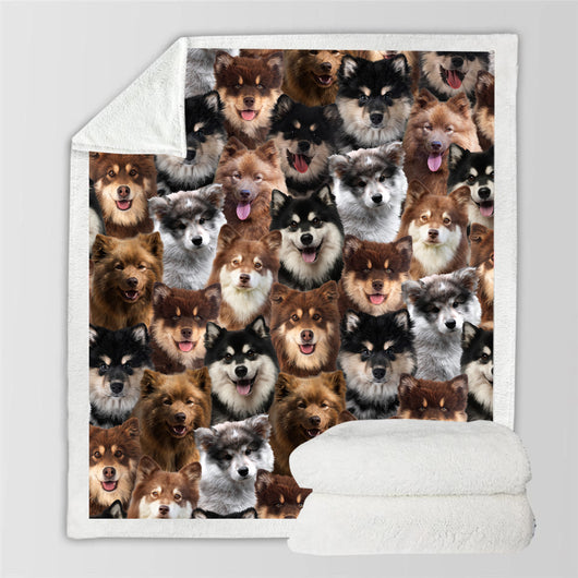 Manta Flanela Estampada para Perros de Moda - Image 76