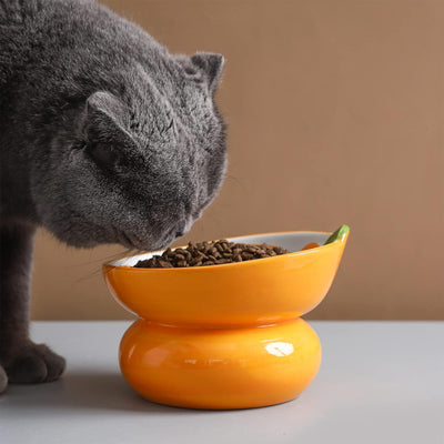 Comedero Elevado de Cerámica para Gatos - Diseño Ergonómico Anti-Vómito Rosa - Image 8