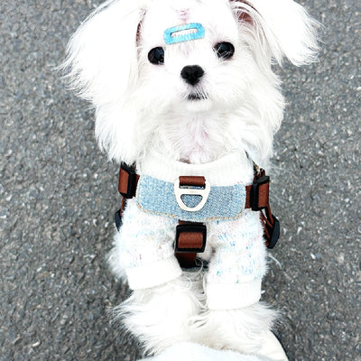 Arnés Chaleco para Perros Pequeños y Medianos - Control Seguro y Cómodo