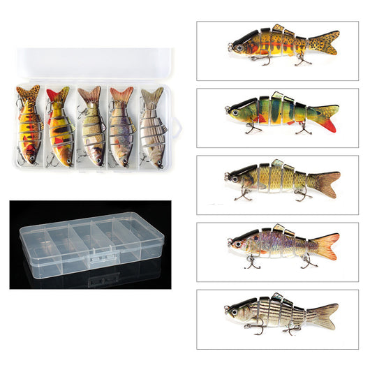 Peces Carnada Premium - Image 29