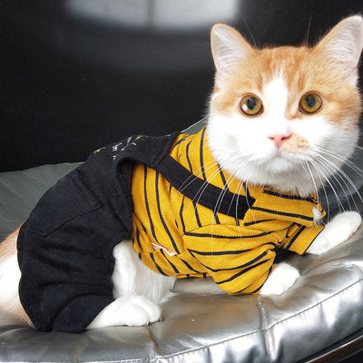 Ropa Abrigada para Gatos y Gatitos - Protección Térmica Invierno - Image 5