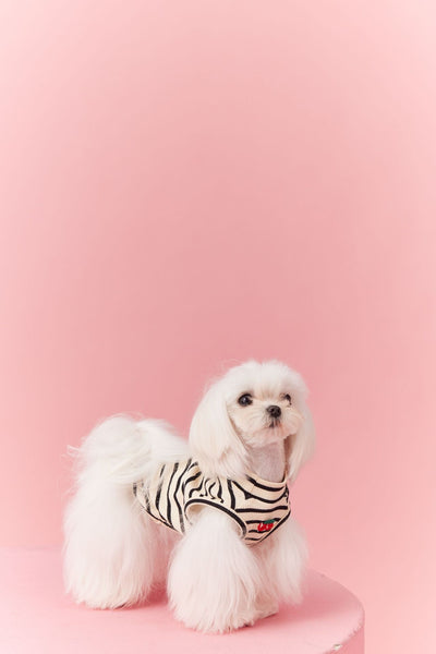 Chaleco sin Mangas Schnauzer Teddy Bichón a Rayas Cerezo - Image 15