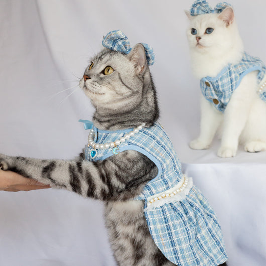 Vestido de Moda para Gatos - Falda Elegante y Adorable - Image 24