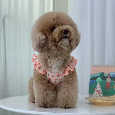 Falda Protectora para Perros Pequeños, Medianos y Grandes - Image 17