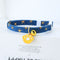 Dark Blue S 18to30 Cm