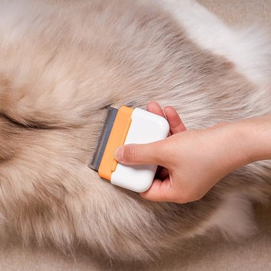 Peine Deslanador para Gatos y Perros - Cepillo de Masaje Profesional - Image 13
