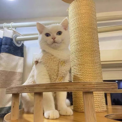 Chaleco Abrigador de Lana de Cordero para Gatos - Diseño Cálido e Adorable - Image 11