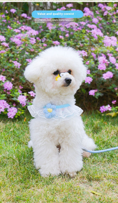 Chaleco de Paseo con Correa para Perros Pequeños - Image 16
