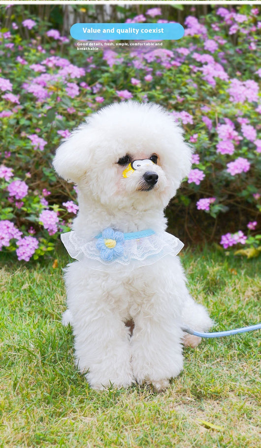 Chaleco de Paseo con Correa para Perros Pequeños - Image 16