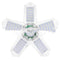 100 W Transparent, Single Pack