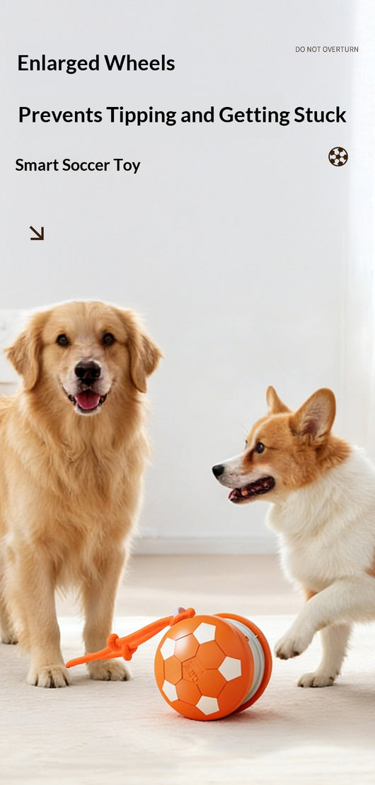 Juguete Interactivo Eléctrico para Gatos y Perros - Bola Autojugable - Image 16