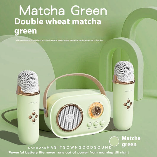 Sistema de Audio Bluetooth Portátil con Micrófono Inalámbrico - Image 9