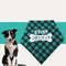 Toalla Triangular Suave para Mascotas - Absorbente y Delicada