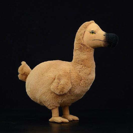 Peluche Educativo Dodo - Colección Biología Prehistórica - Image 10