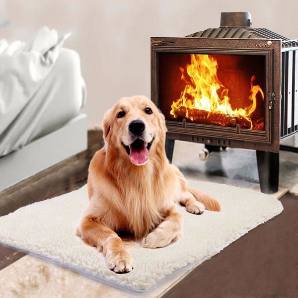 Cama Térmica para Mascotas con Funda Lavable - Otoño e Invierno