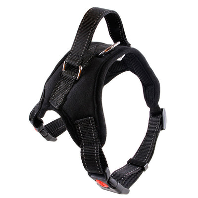 Collar para Perro Mediano y Grande de Calidad Premium - Image 19
