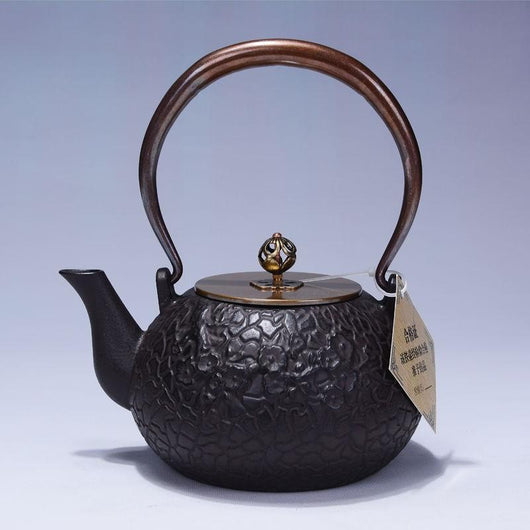 Tetera de Hierro Fundido Artesanal Sin Recubrimiento para Té Kung Fu - Image 8