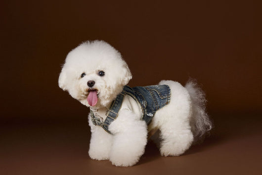Falda Denim Tipo Peto sin Mangas para Perros Pequeños y Medianos - Image 15