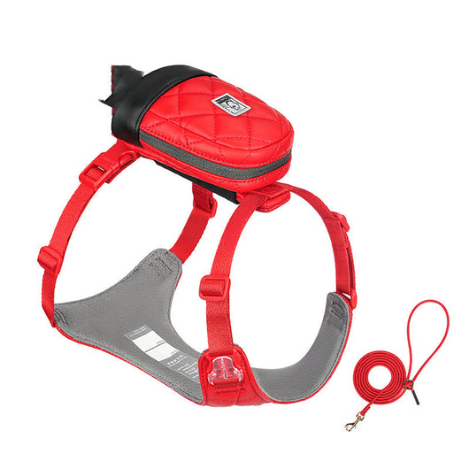 Arnés Pectoral con Cuerda para Perros Pequeños - Teddy y Corgi - Image 13