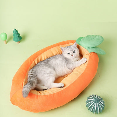 Arena para Gatos Suave y Cómoda con Aroma a Zanahoria - Image 2