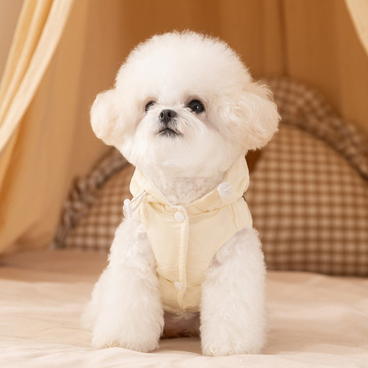 Abrigo Térmico para Gatos y Perros - Chaqueta Acolchada Invierno con Moño - Image 35