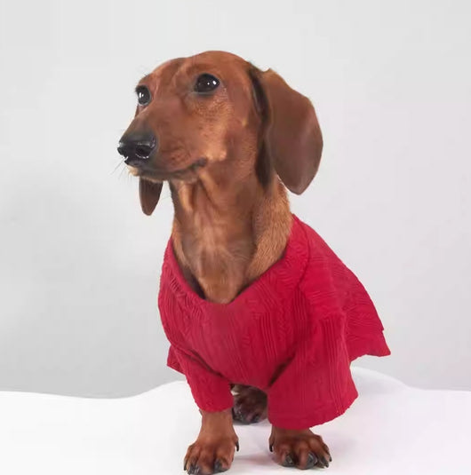Prenda Base Elástica para Perros y Gatos - Abrigo Otoño e Invierno - Image 4