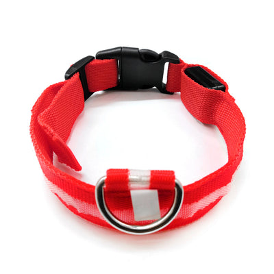 Collar Luminoso Antiextravío para Perros con Placa de Identificación - Image 15