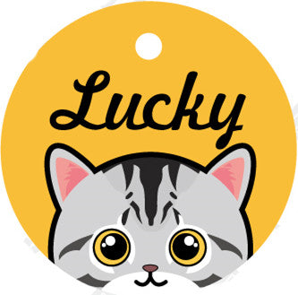 Placa de Identidad Personalizada para Mascotas - Image 23