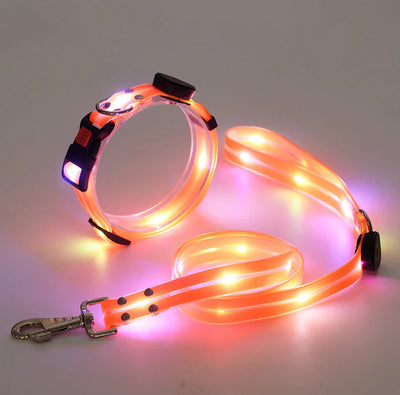 Collar LED Recargable para Mascotas con Correa de Seguridad - Image 9