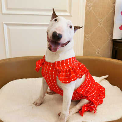 Falda Elegante para Mascotas con Diseño Cuadros y Encaje - Image 12