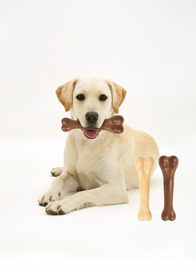 Juguete Masticable para Perros - Limpiador Dental con Forma de Hueso Resistente - Image 20